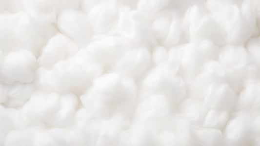 The Importance of Cotton Stem Cells