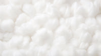 The Importance of Cotton Stem Cells