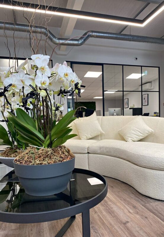 WELCOME TO OUR NEW HQ!