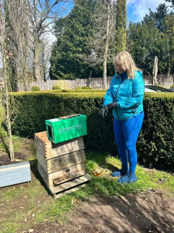 The Importance of Keeping Bees