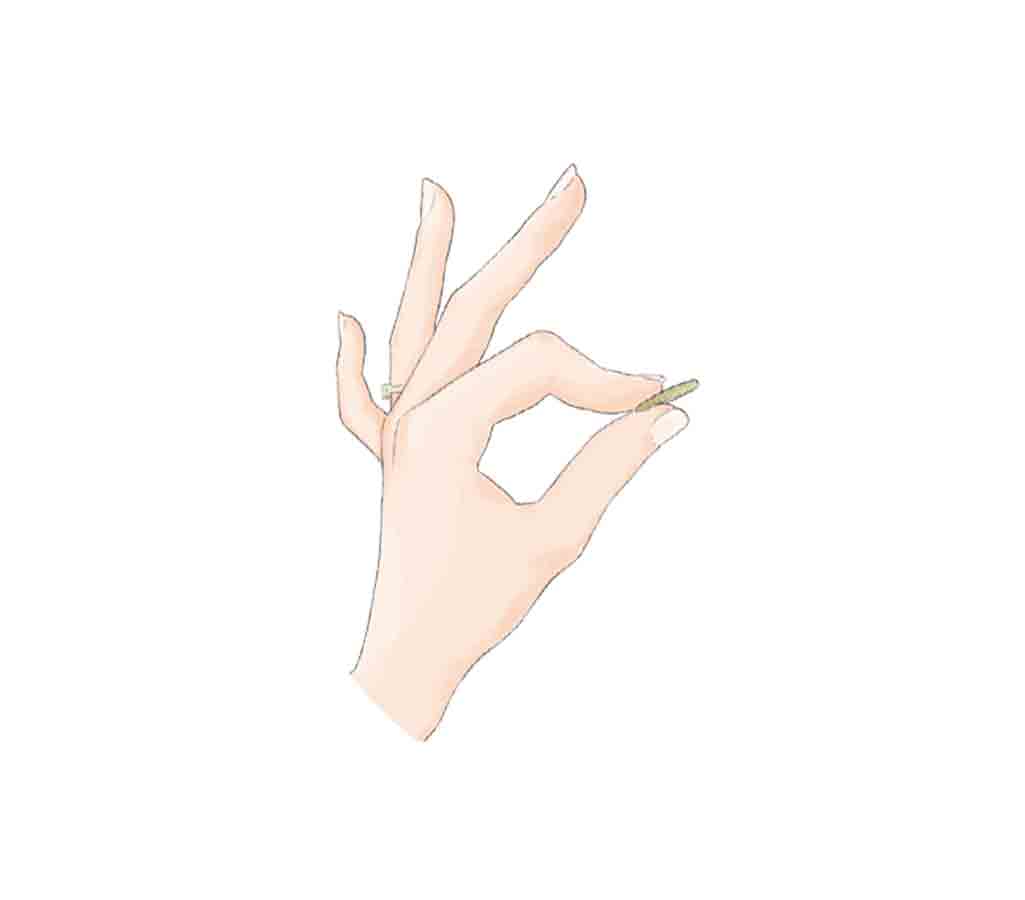 Beauty That Won't Break The Bank