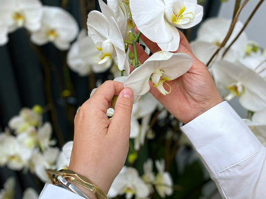 OUR BLOOMING LOVELY HQ!