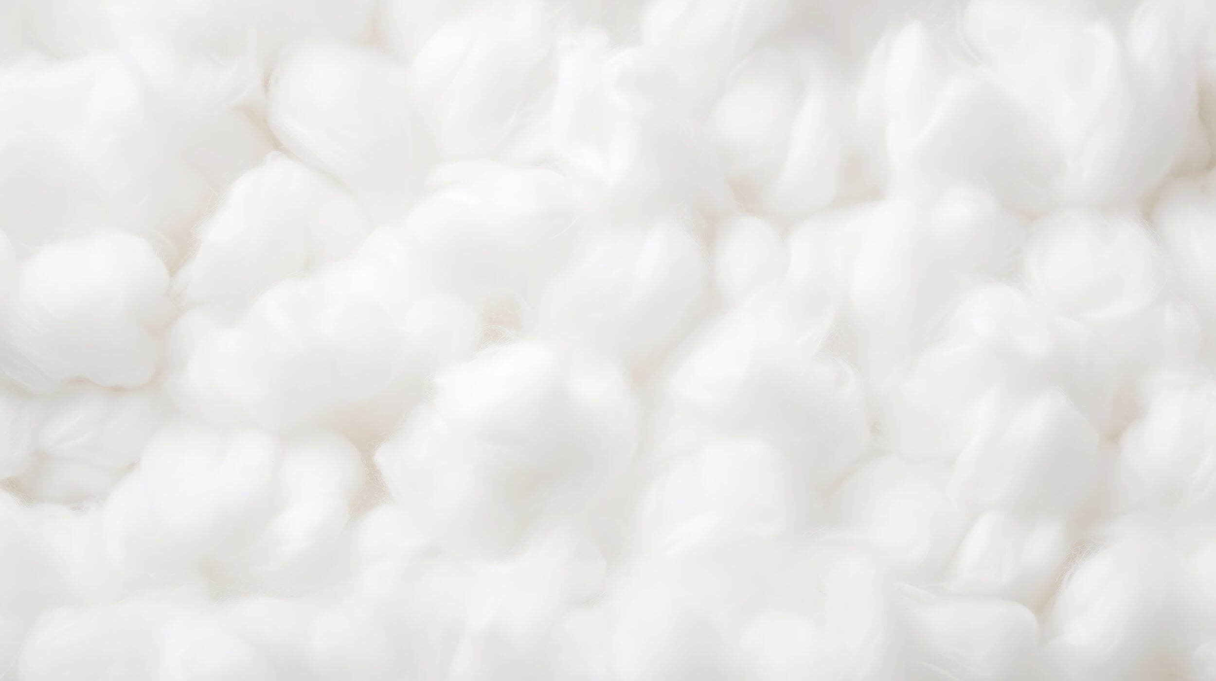  The Importance of Cotton Stem Cells