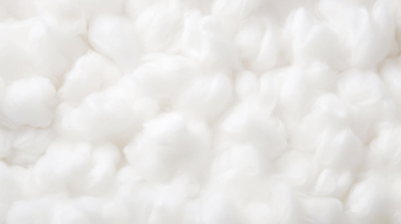  The Importance of Cotton Stem Cells
