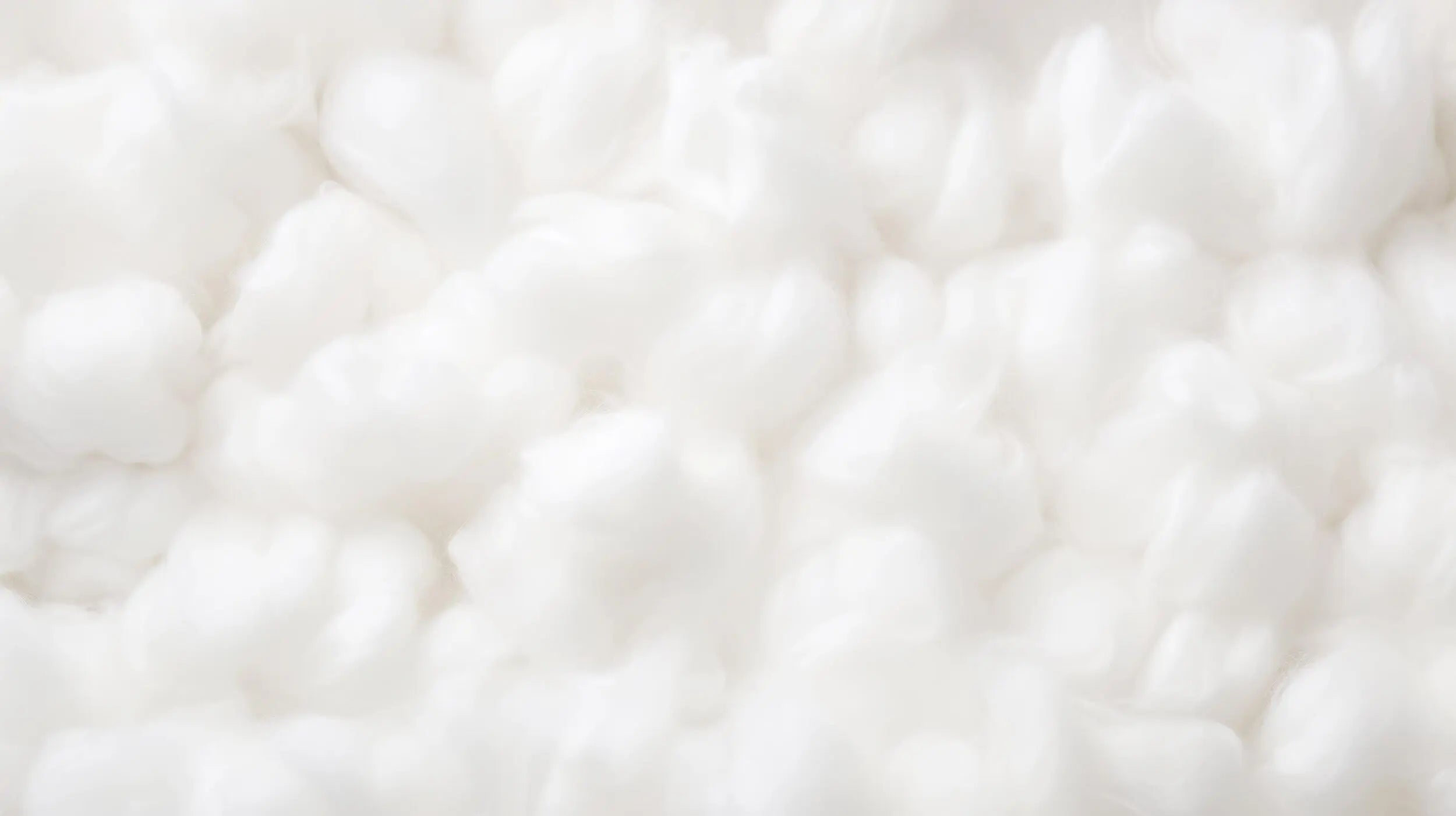  The Importance of Cotton Stem Cells