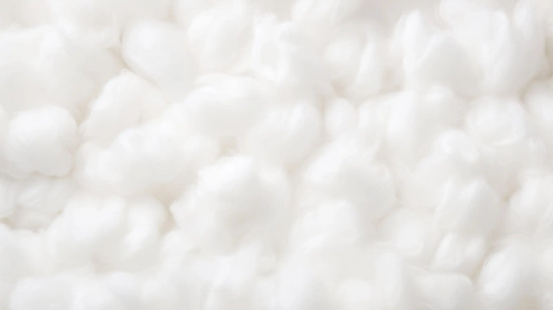  The Importance of Cotton Stem Cells