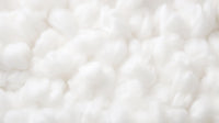  The Importance of Cotton Stem Cells