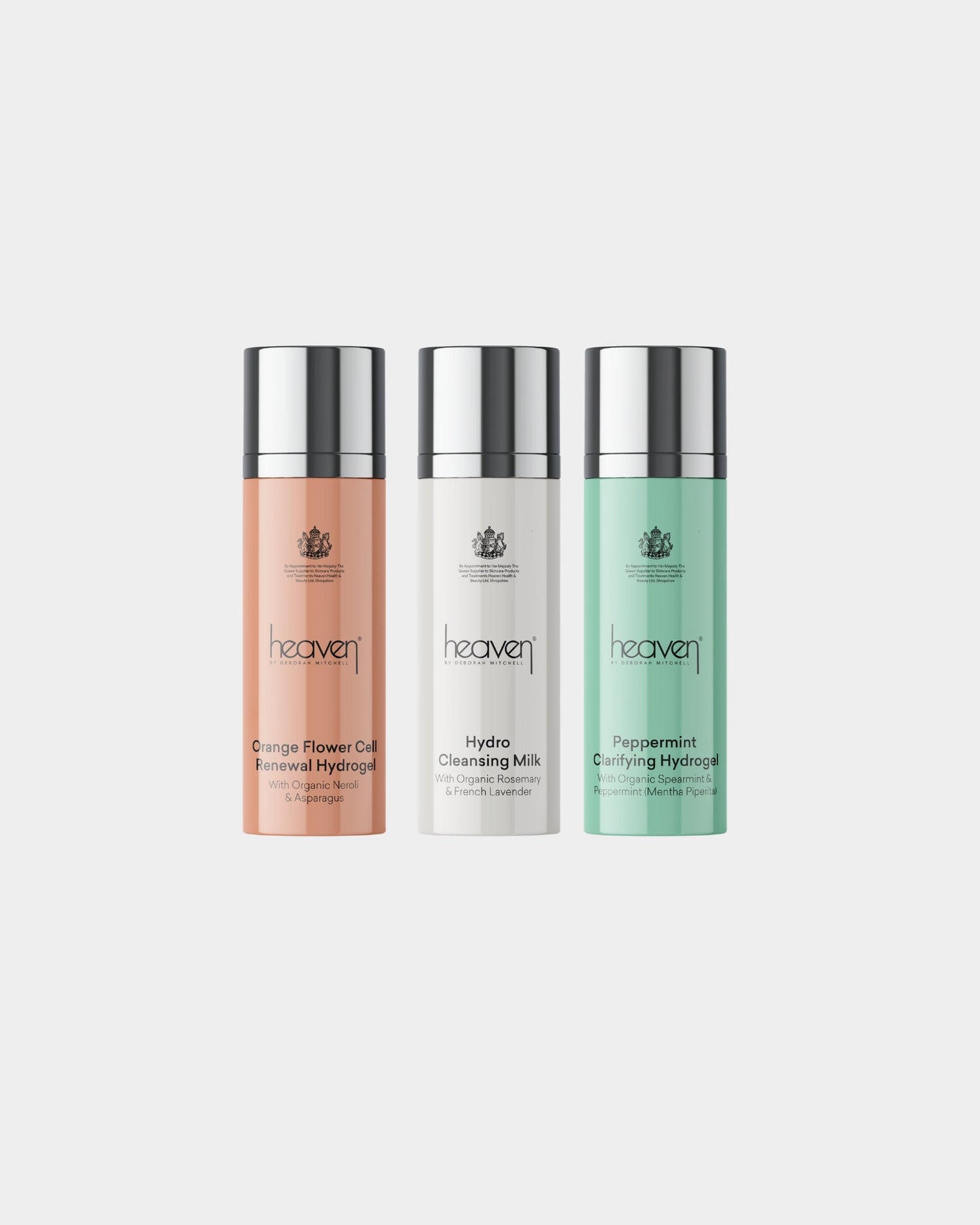 🎁 Day 1 Surprise Mini